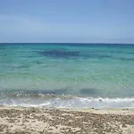 Stil Bonsai Hotel Can Picafort (Mallorca)