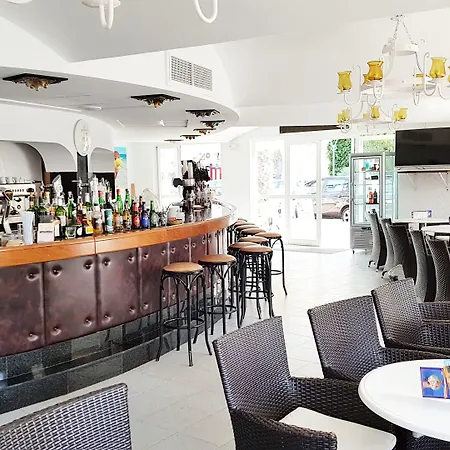 斯蒂尔盆景酒店 酒店