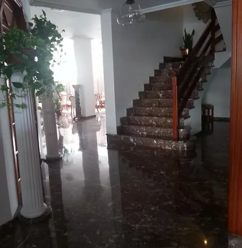 Stil Bonsai Кан Пикафорт