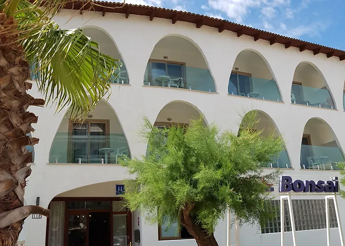 Stil Bonsai Кан Пикафорт