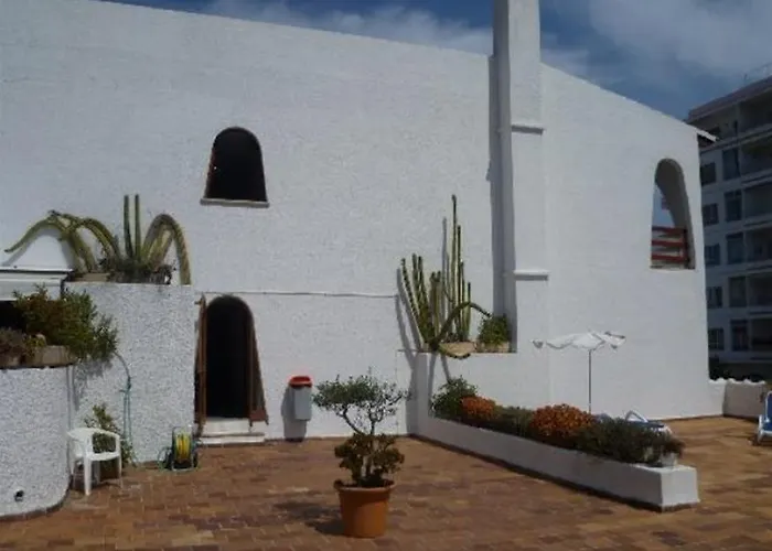 Stil Bonsai Кан Пикафорт