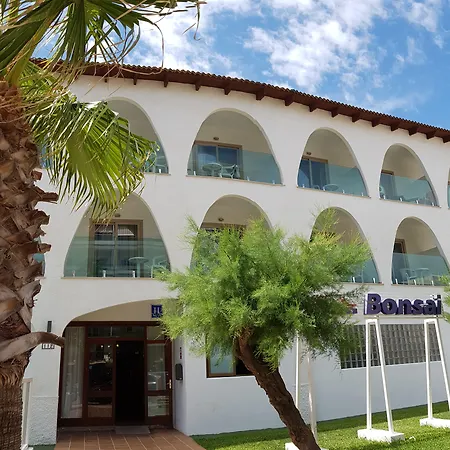 Stil Bonsai Can Picafort (Mallorca)