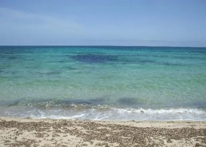 Stil Bonsai Отель Кан Пикафорт